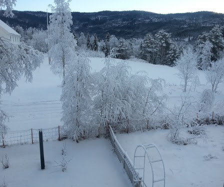 Utsikt frå studierommet 26.1.2013