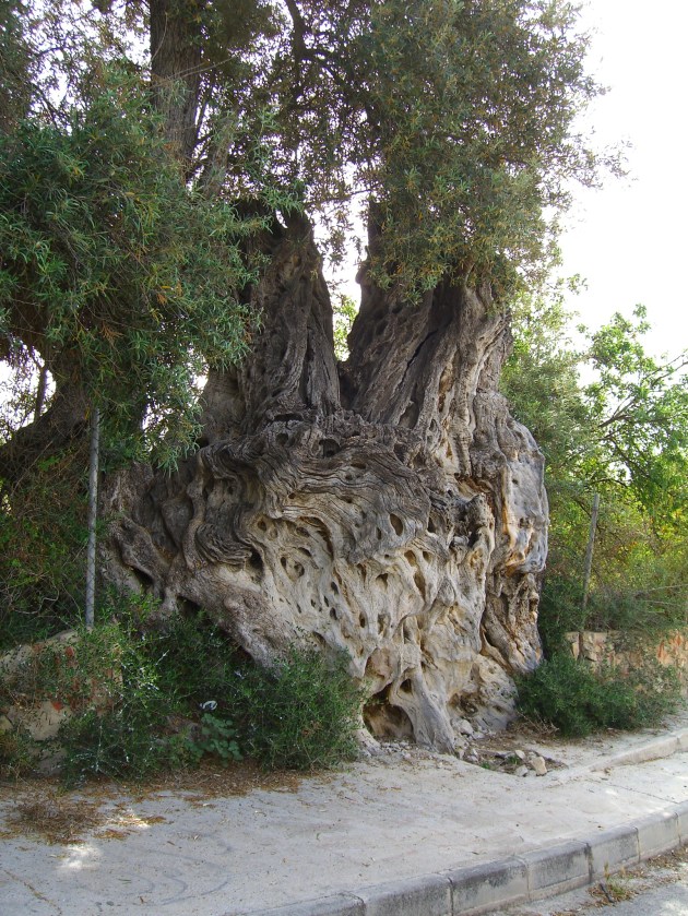 ????????????????????????????