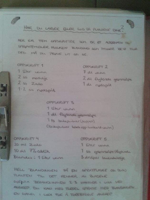 11289007_10152726945346601_1178461459354172763_o